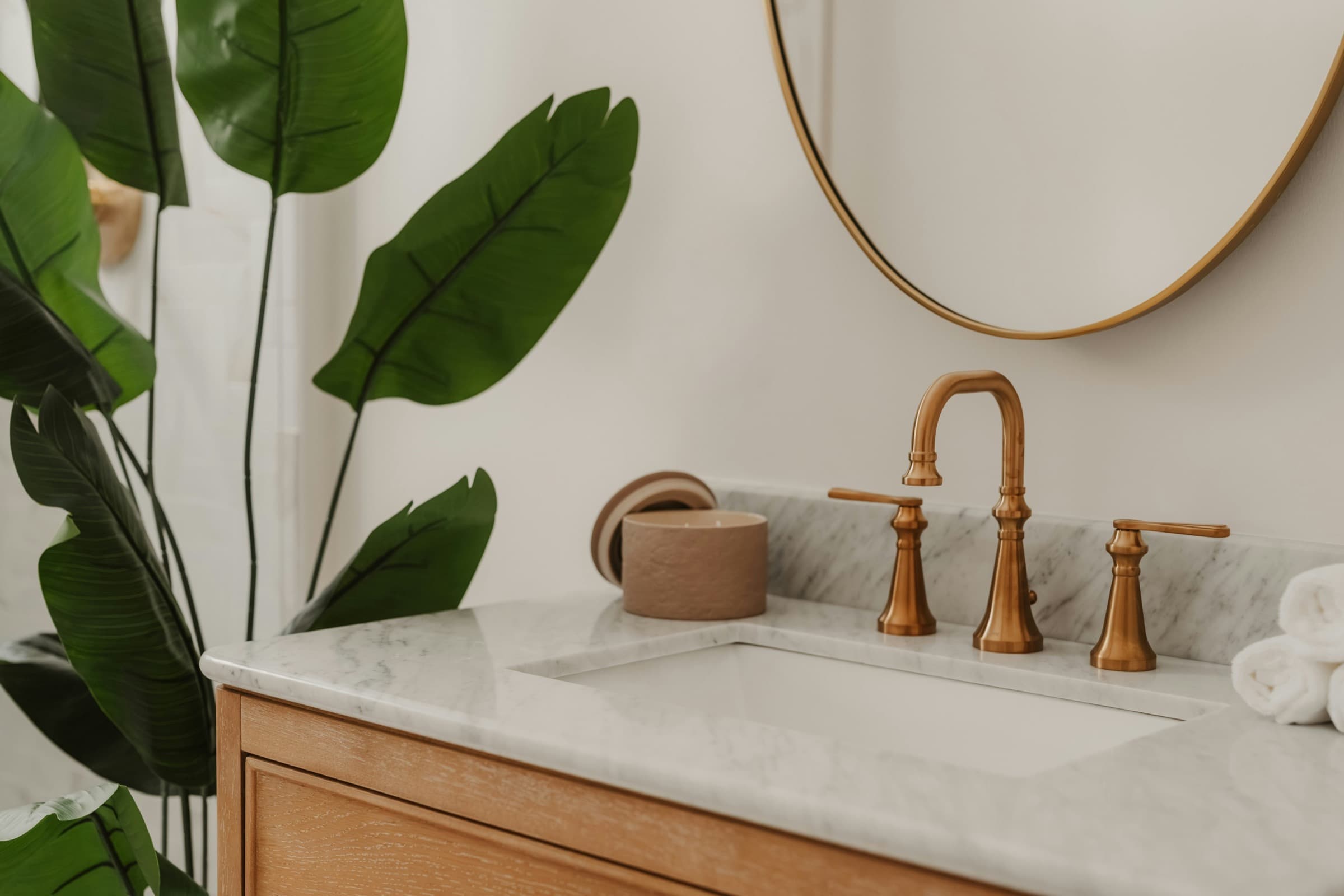 Brass basin faucet with green plant and premium counter detail